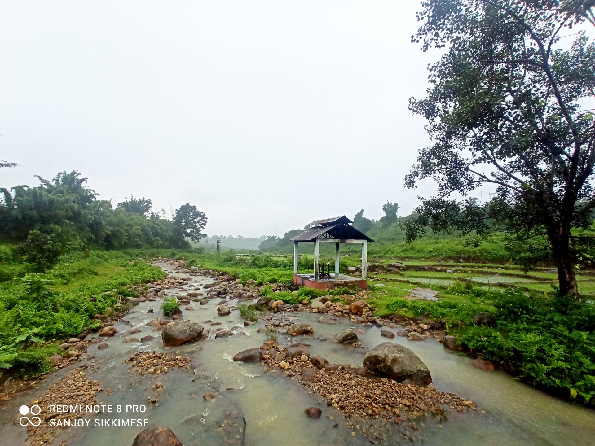 Royal Eco Hut